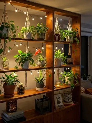 Ein beleuchteter Raumteiler mit Zimmerpflanzen
schafft Struktur - Zum vergrößern klicken Ein beleuchteter Raumteiler mit Zimmerpflanzen
schafft Struktur